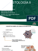 3 Conceptos de Lobulillos Heoáticos Hasta Vesícula Biliar