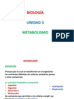 Metabolismo