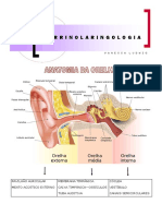 OTORRINOLARINGOLOGIA