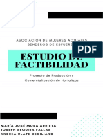 Estudio de Factibilidad AMASE