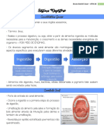 Sistema digestório: estruturas e funções