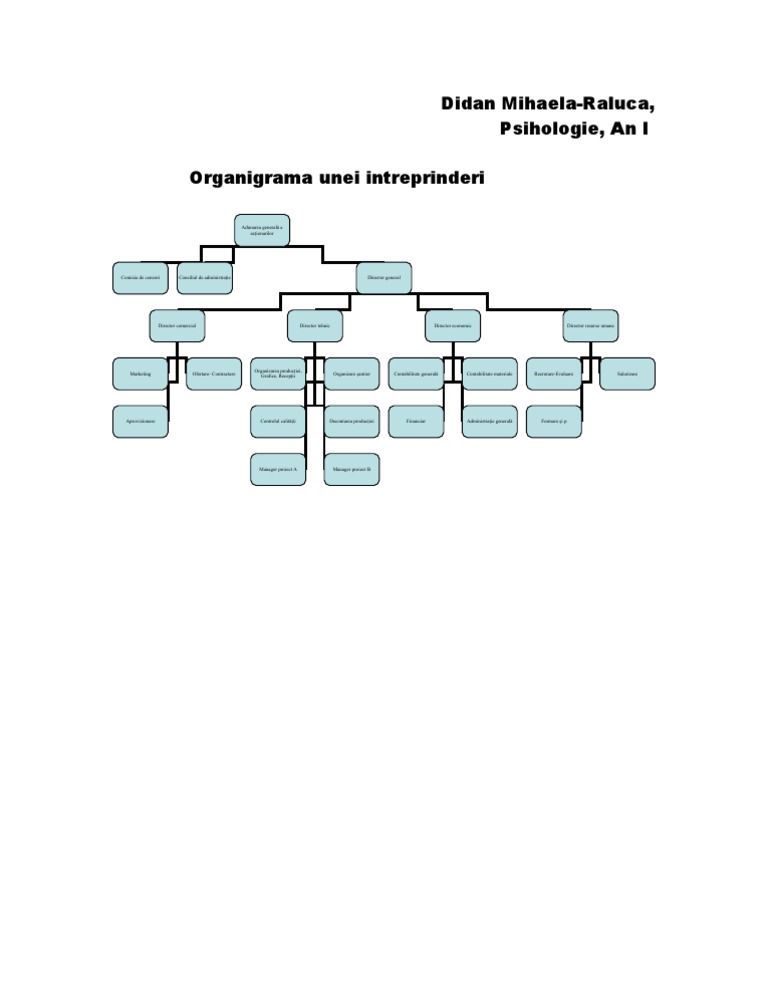 Organigrama Unei Intreprinderi | PDF