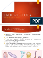 Protozoa Classification and Diseases