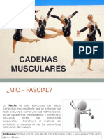 Cadenas Musculares PDF