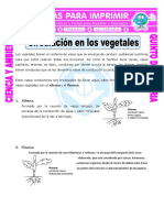 Ficha-Circulación-libro Biologia