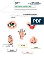 Evaluaciòn Diagnostica de Ciencia y Tecnologia Primer Grado