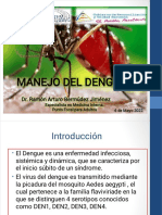 Dengue. Mayo