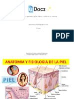 Anatomia y Fisiologia de La Piel 287948 Downloable 2885457