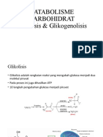 Katabolisme Karbohidrat Glikolisis and G