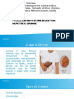 Problemas do sistema digestivo: hepatite e cirrose