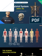 Skeletal System: 1 Wifistudy - Neeraj Sir