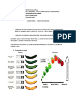 Laboratorio 2 - El Refractometro...