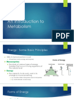 Lesson #1 - An Introduction To Metabolism