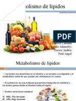 Metabolismo de Lípidos: Bachilleres: Mussett Luisana Ocando Adaurelys Perozo Andrés Petit Angel
