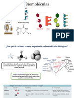 Biomoléculas