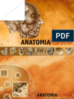 AnatomiaHumana v2.8