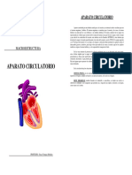 Guia Sistema Circulatorio Macroestructura