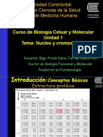 Núcleo y Cromosomas