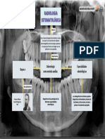 Rayos X: Odontología Como Metodo Auxiliar. Especialidades Odontológicas