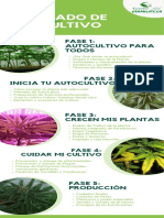 Curso Avanzado de Autocultivo: Fase 1: Autocultivo para Todos