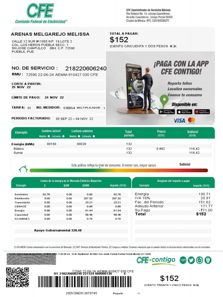 Recibo De Luz Editable Pdf Naturaleza Cantidades Fisicas