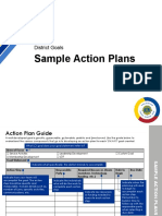 Action Plan