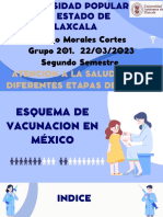 Esquema de Vacunacion - 2d0 Parcial