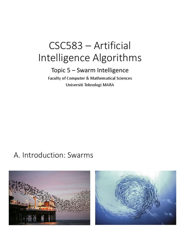 CSC583 - Artificial Intelligence Algorithms | PDF | Applied Mathematics ...