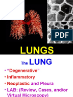 Ch15-Lung