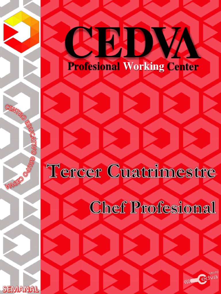 Manual 3er Cuatrimestre Chef VERO Febrebro | PDF
