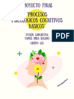 "Procesos Psicologicos Cognitivos Basicos": Proyecto Final