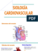 Fisiología cardiovascular: estructura, circulación y enfermedades del corazón