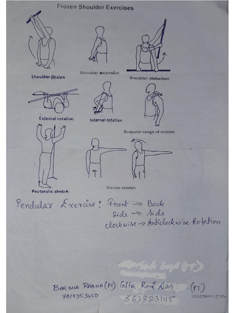 Neck Isometric & Knee Pain Exercises. | PDF