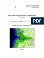 Mangroves Deforestation Analysis Ne Madagascar