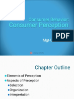 Consumer Behavior: Consumer Behavior:: Consumer Perception Consumer Perception