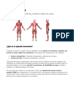 Aparato Locomotor