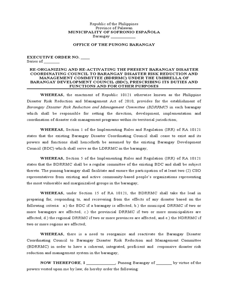 reorganizing-the-barangay-disaster-coordinating-council-to-comply-with