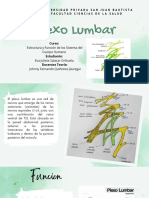 plexo lumbar 