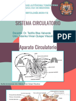 Sistema Circulatorio: Docente: Dr. Teófilo Blas Valverde Univ. Sdenka Vivian Quispe Vilacahua