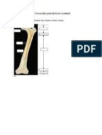 Berdasarkan Di Bawah Sebutkan Dan Jelaskan Struktur Tulang!