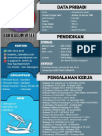 Curriculum Vitae