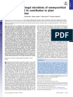 Root-Associated Fungal Microbiota of Nonmycorrhizal Arabis Alpina and Its Contribution To Plant Phosphorus Nutrition