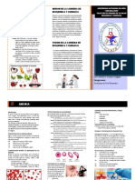 Anemia Hematologia