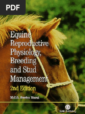 Equine Reproductive Physiology Breeding And Stud - 