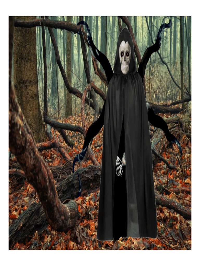 The Skeleton Master | PDF