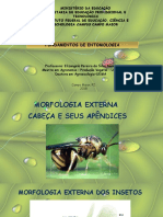 Fundamentos de Entomologia