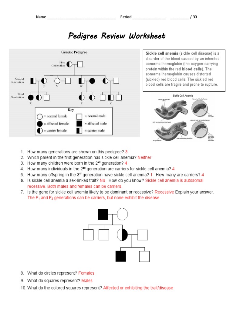 pedigree-review-worksheet-pdf-haemophilia-dominance-genetics