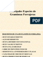 Gramíneas Forrajeras