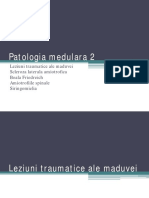 Patologia Medulara 2