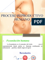 Proceso Reproductivo Humano